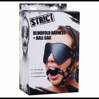 Blindfold Harness and Ball Gag