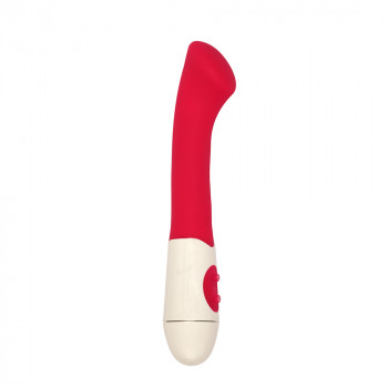 P.S. Sex Solves Everything – Zaragoza Vibrator  - 1